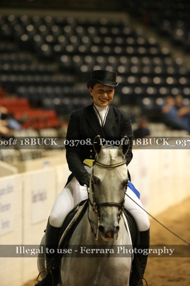 Proof 18BUCK_03708