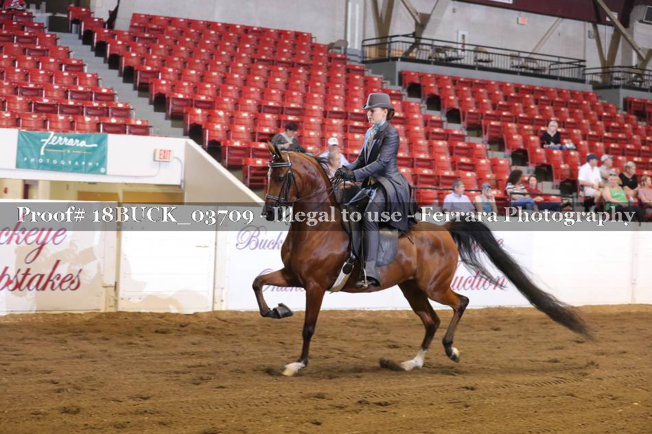 Proof 18BUCK_03709