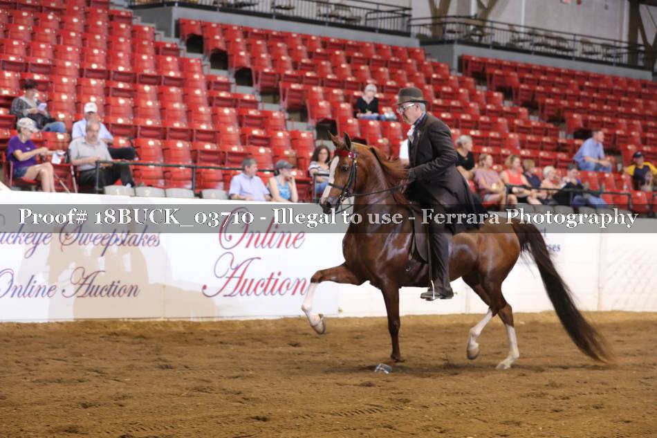 Proof 18BUCK_03710