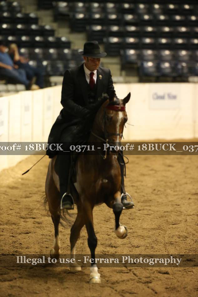 Proof 18BUCK_03711