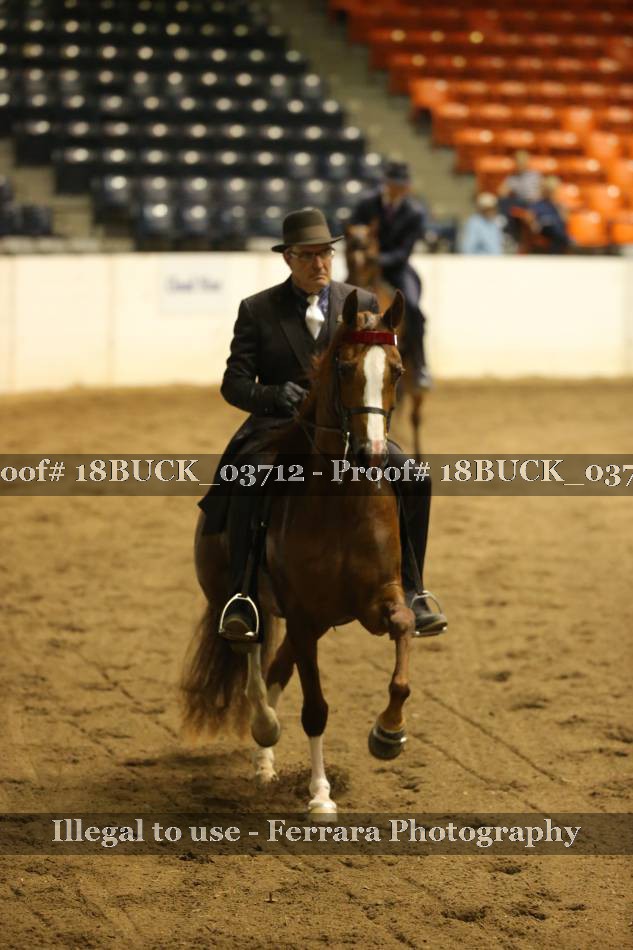 Proof 18BUCK_03712