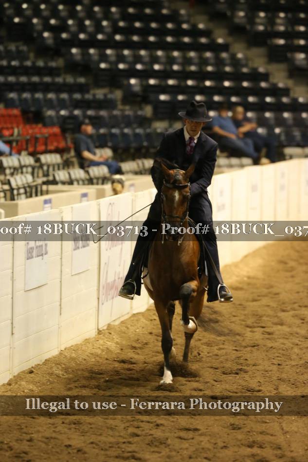 Proof 18BUCK_03713