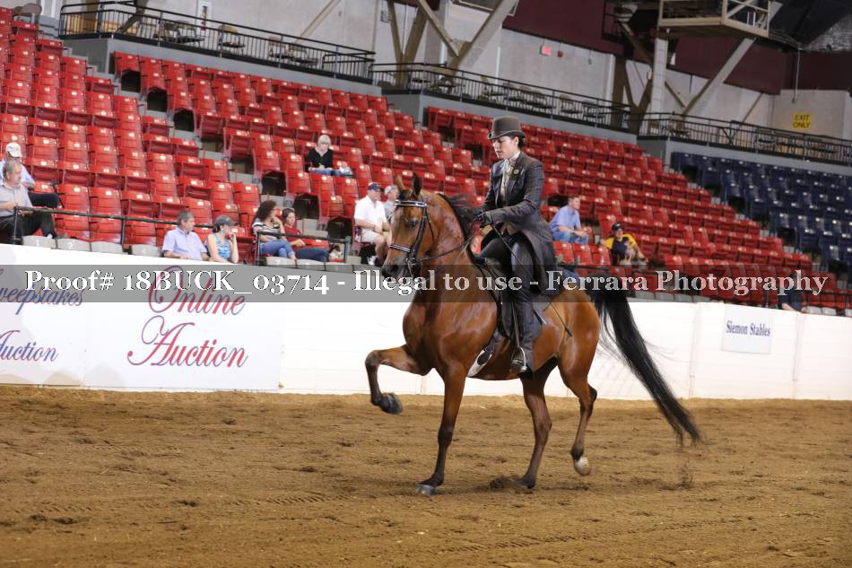 Proof 18BUCK_03714