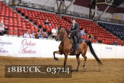 18BUCK_03714 proof