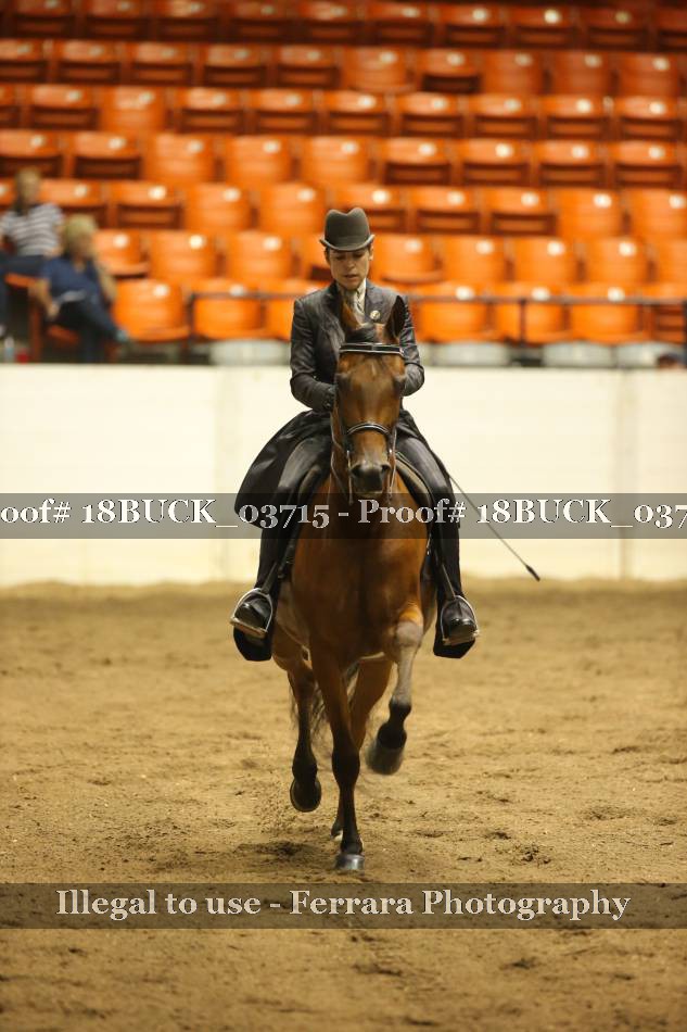 Proof 18BUCK_03715