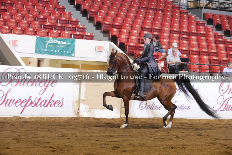Proof 18BUCK_03716