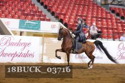 18BUCK_03716 proof