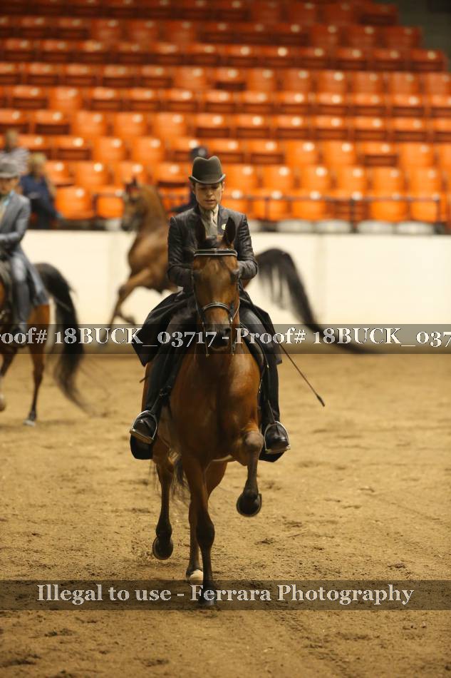 Proof 18BUCK_03717
