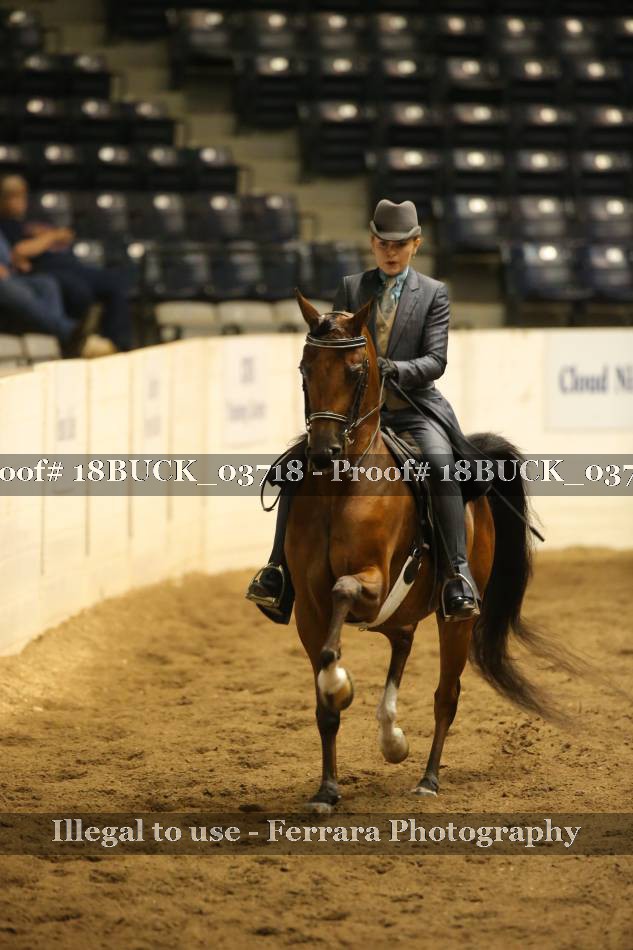 Proof 18BUCK_03718