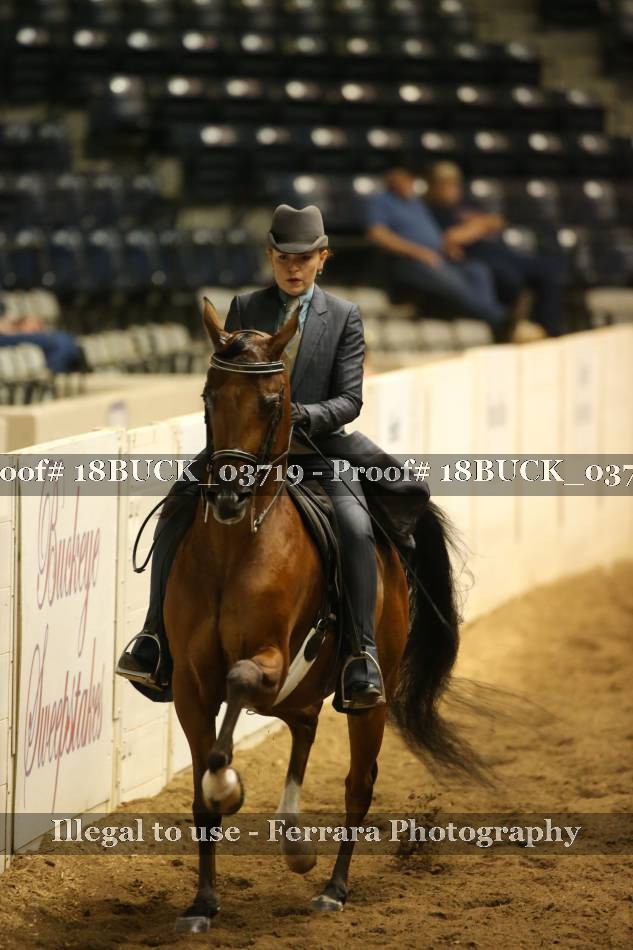 Proof 18BUCK_03719