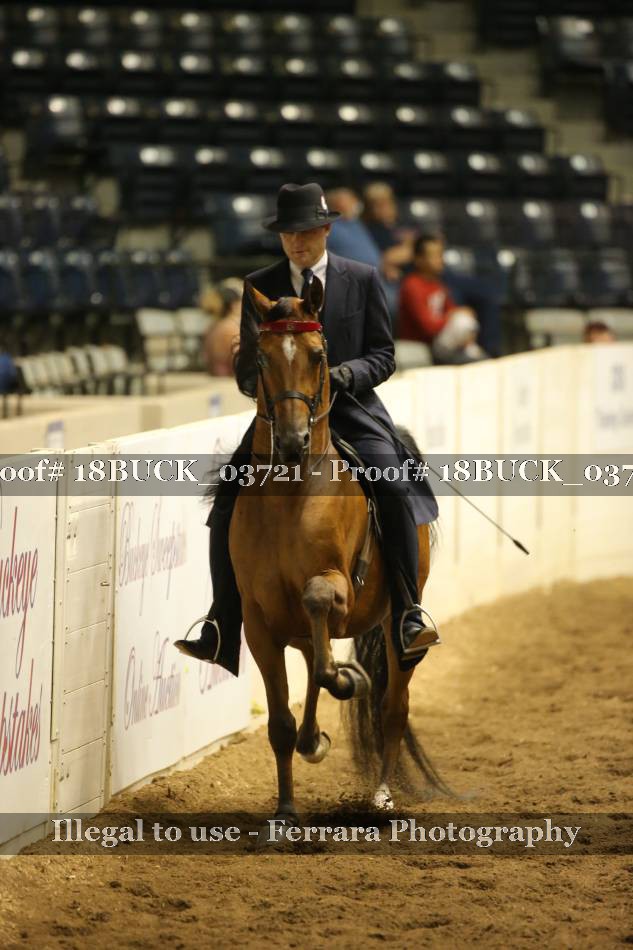 Proof 18BUCK_03721