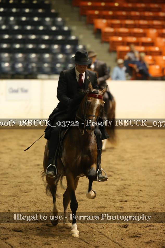 Proof 18BUCK_03722
