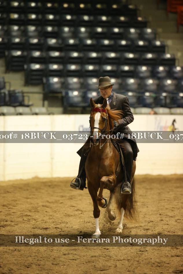 Proof 18BUCK_03723