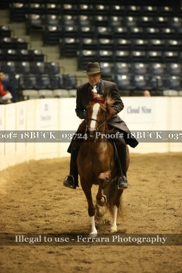 Proof 18BUCK_03724