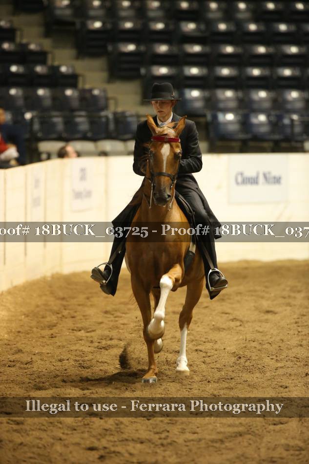 Proof 18BUCK_03725