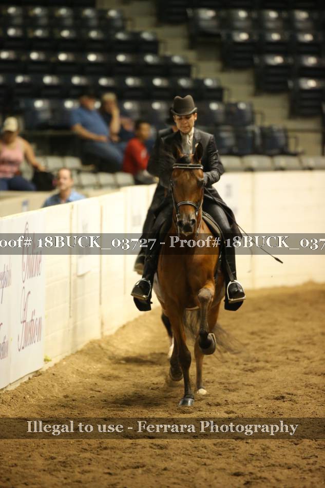 Proof 18BUCK_03727