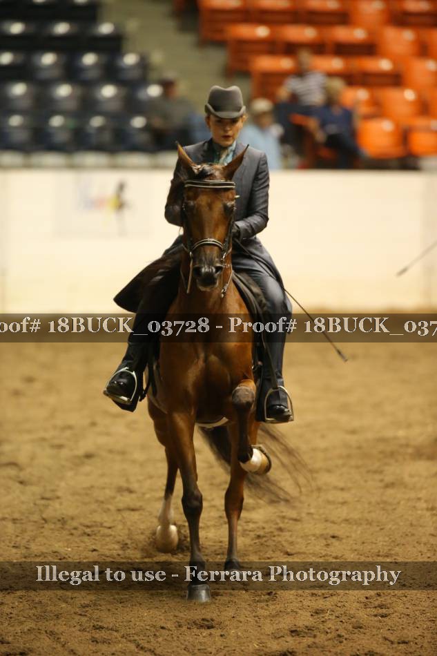 Proof 18BUCK_03728