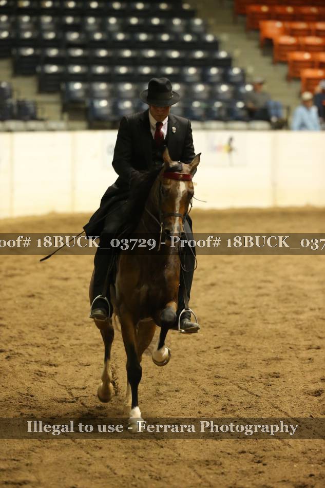 Proof 18BUCK_03729