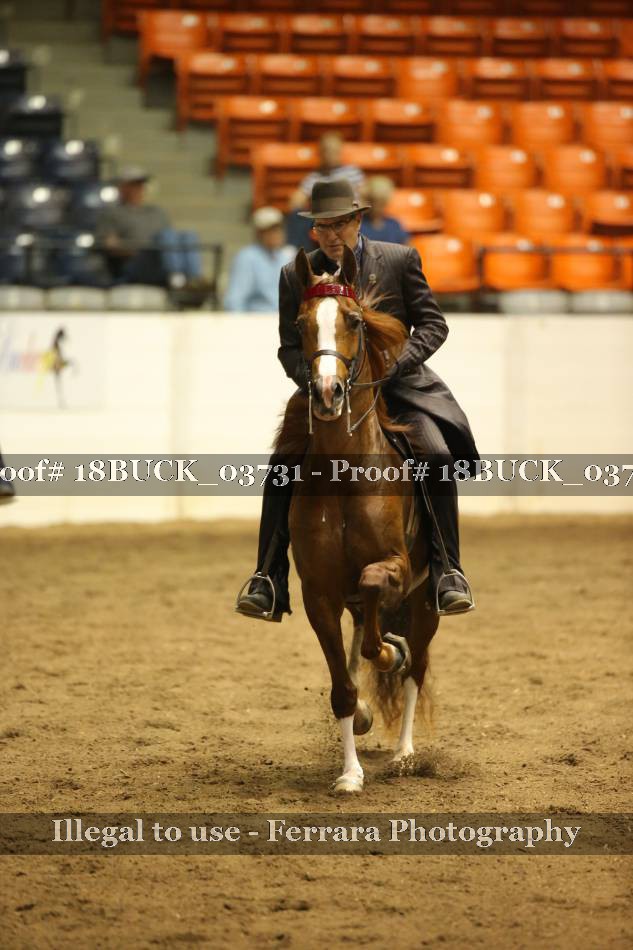 Proof 18BUCK_03731