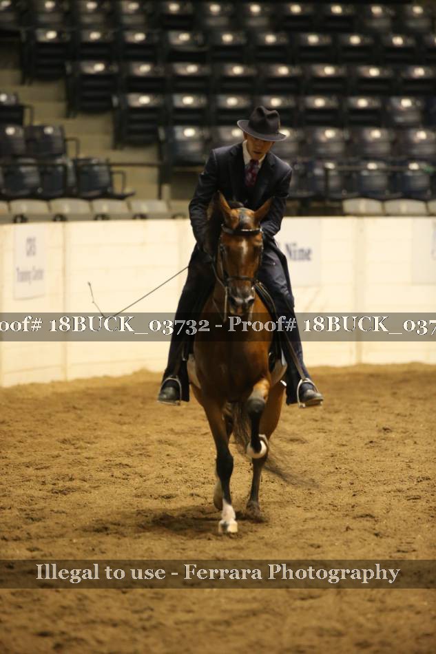 Proof 18BUCK_03732