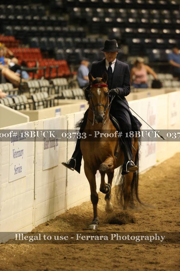 Proof 18BUCK_03733