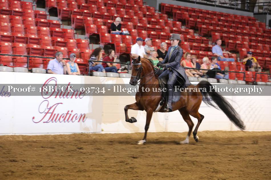 Proof 18BUCK_03734