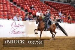 18BUCK_03734 proof