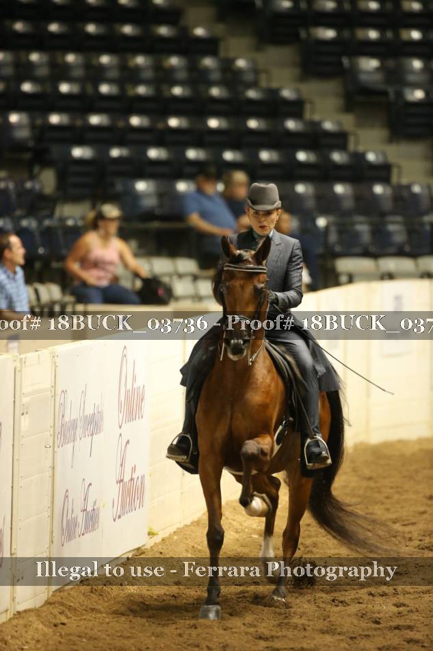 Proof 18BUCK_03736