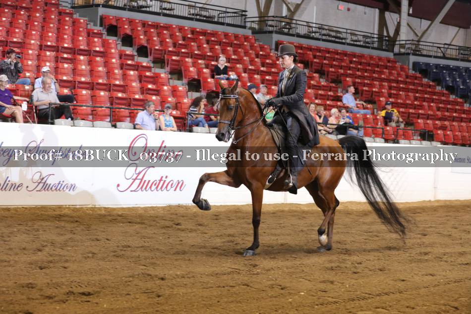 Proof 18BUCK_03737