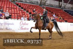 18BUCK_03737 proof