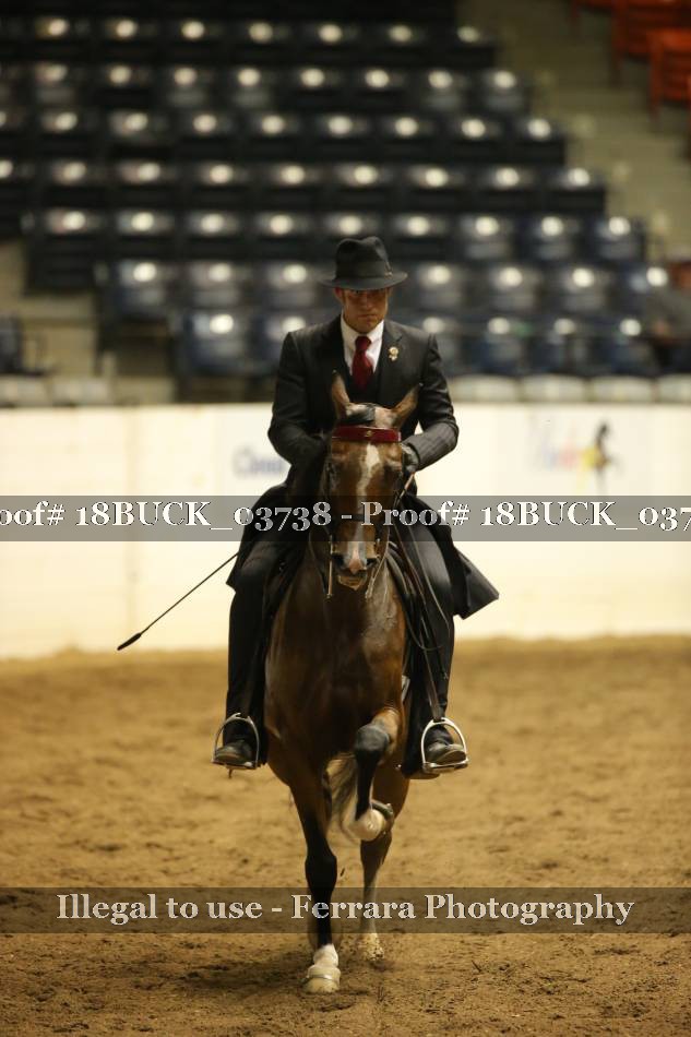 Proof 18BUCK_03738
