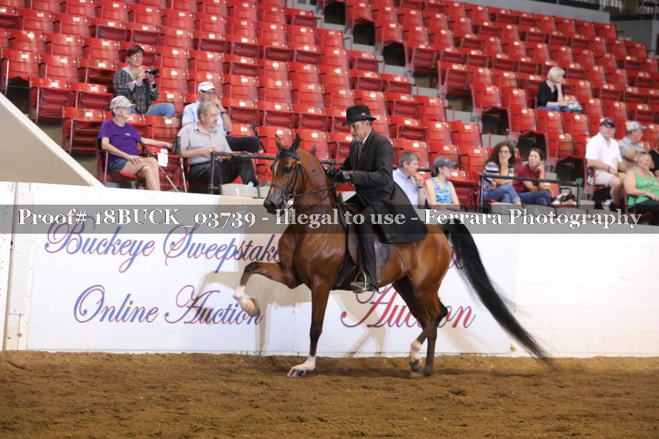 Proof 18BUCK_03739