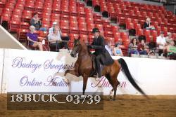 18BUCK_03739 proof