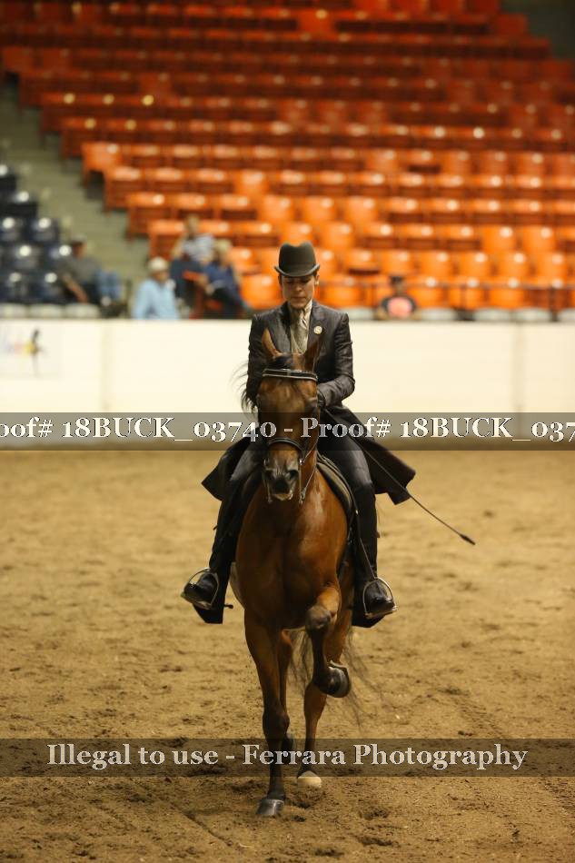 Proof 18BUCK_03740