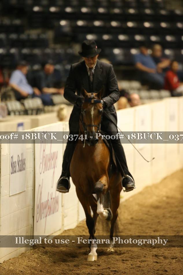 Proof 18BUCK_03741