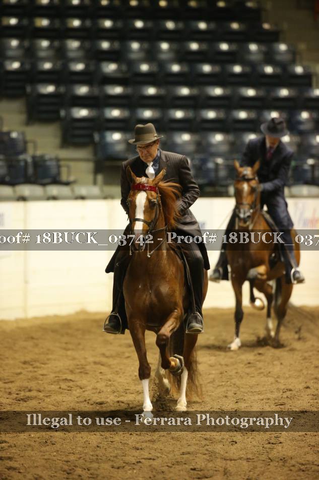 Proof 18BUCK_03742