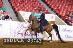 18BUCK_03743 proof