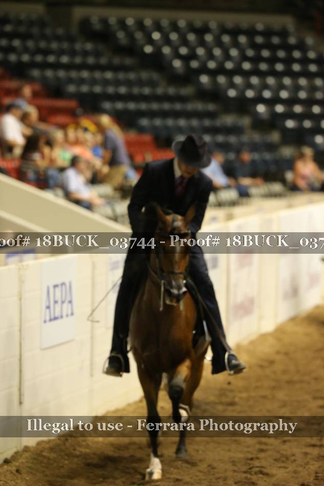 Proof 18BUCK_03744