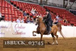 18BUCK_03745 proof