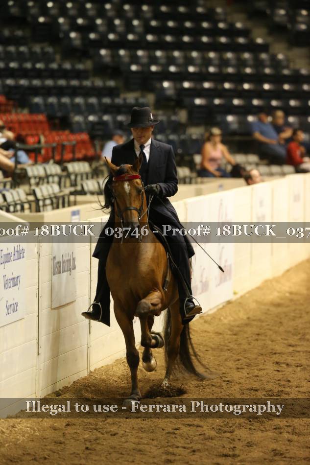 Proof 18BUCK_03746