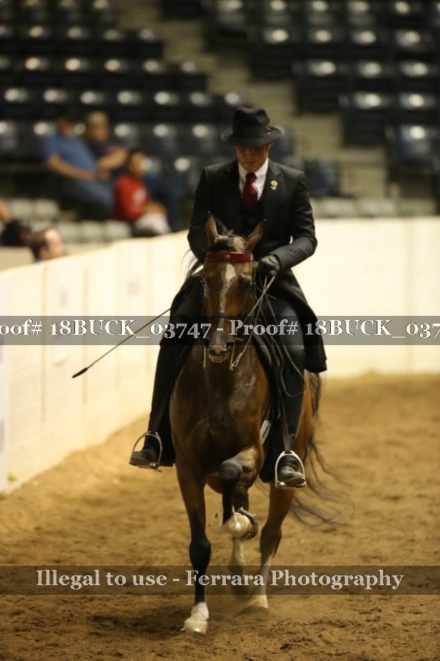 Proof 18BUCK_03747