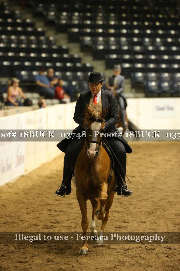 Proof 18BUCK_03748