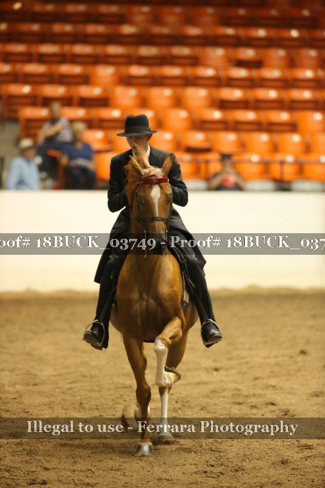 Proof 18BUCK_03749