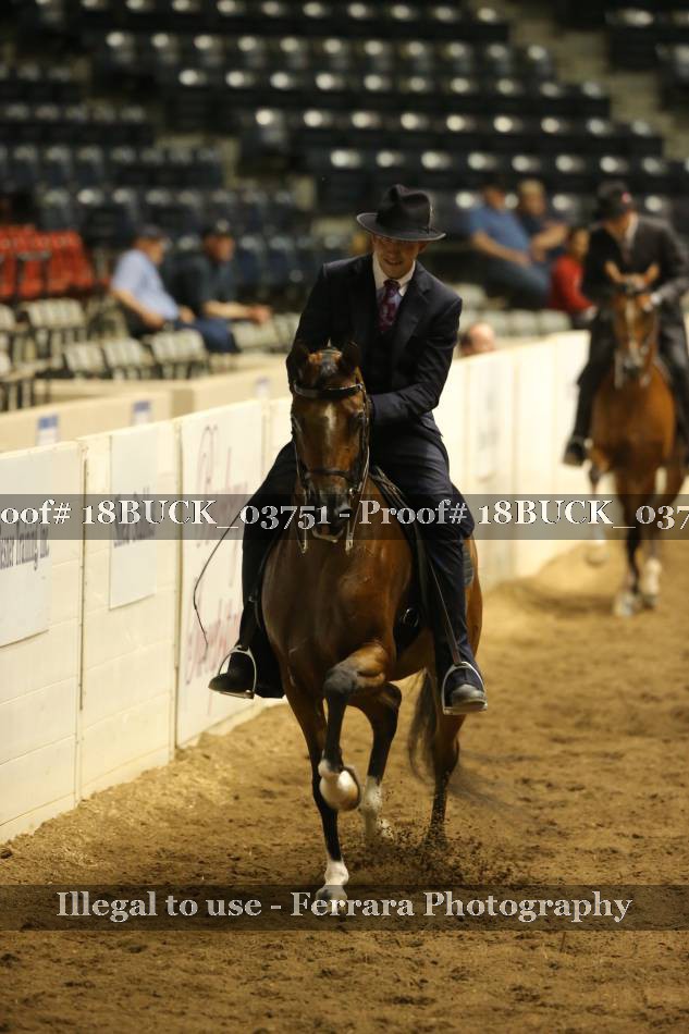 Proof 18BUCK_03751