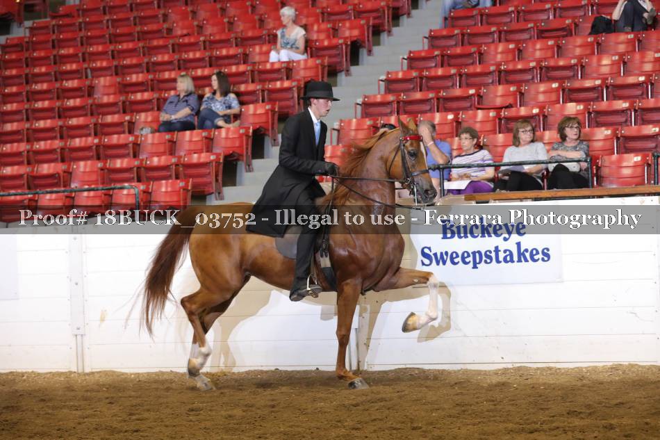 Proof 18BUCK_03752