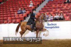 18BUCK_03752 proof