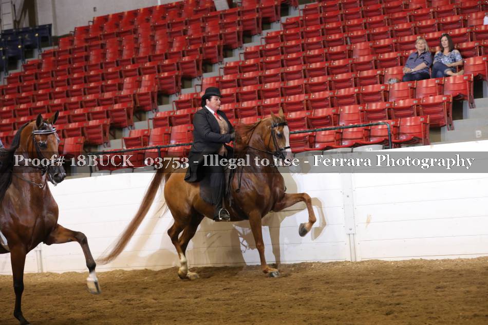 Proof 18BUCK_03753