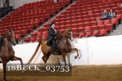 18BUCK_03753 proof