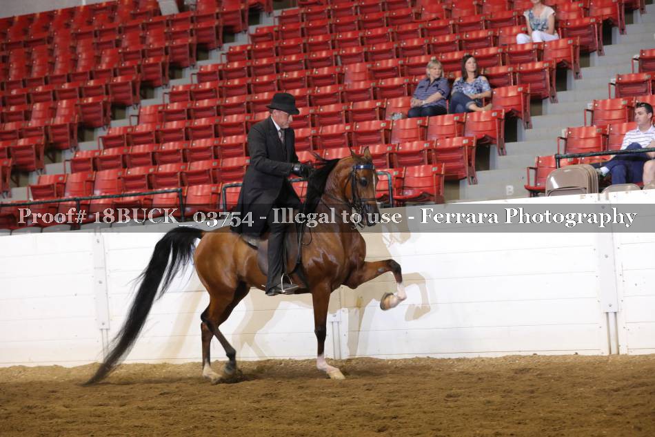 Proof 18BUCK_03754
