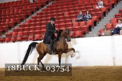 18BUCK_03754 proof